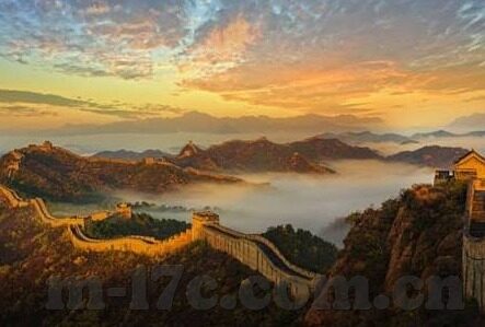 大象传媒网址是什么-探索大象传媒，互联网文化传播的广阔舞台