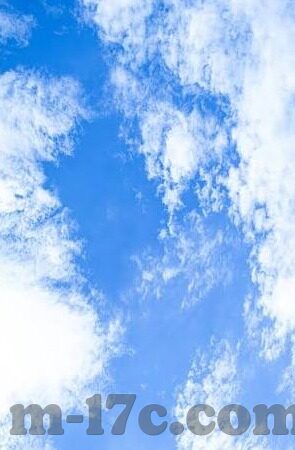 伦理电国最新伦理电-伦理电国，最新伦理电的挑战与应对