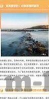 伦理手机在线观看-伦理与手机在线观看，数字时代的界限与选择