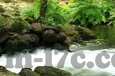 麻豆果冻传媒新剧国产短视频-麻豆果冻传媒新剧，国产短视频的创新与挑战