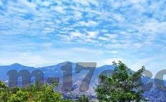 麻豆经济视频国产-麻豆经济视频的崛起，国产内容的新趋势