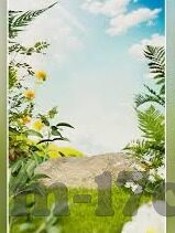 糖心app下载旧版ios-穿越时光的触点，旧版iOS糖心app的温润回顾