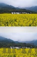 糖心app账号凭证-用心之选，解锁糖心app的高级体验之旅