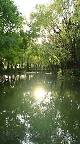 糖心app最新版本苹果-探索数字生活新体验，糖心APP最新版本在iOS平台的革新
