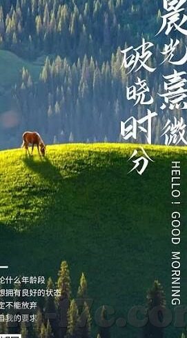 香蕉传媒麻豆在线免费-香蕉传媒，麻豆在线平台免费内容与网络文化的交织
