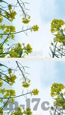 在线成人免费观看高清视频-解锁娱乐新视界，探索在线成人高清视频的无限可能